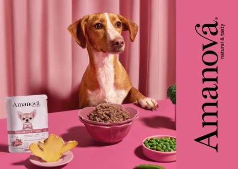 Amanova Amanova Dog Adult Tasty Salmon & Turkey - łosoś i indyk saszetka 100g [P06]