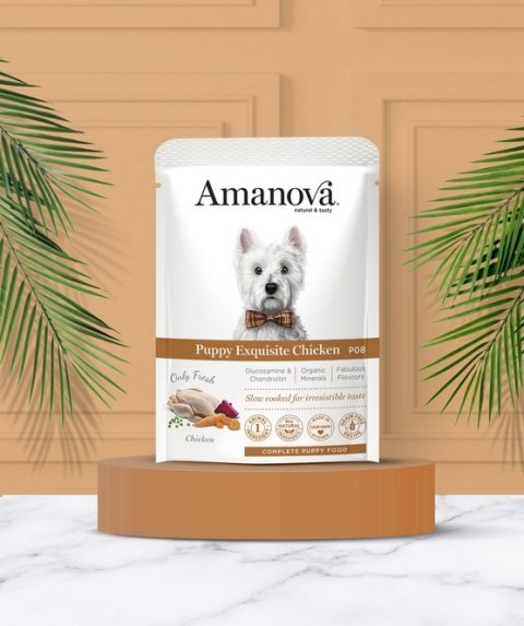 Amanova Amanova Dog Puppy Exquisite Chicken - kurczak saszetka 100g [P08]