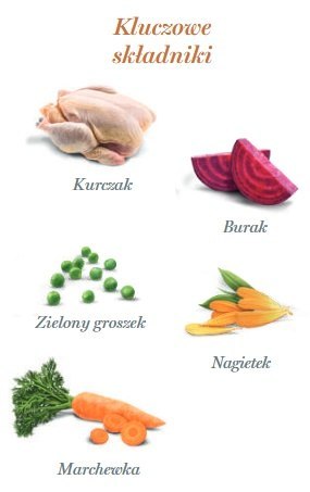 Amanova Amanova Dog Puppy Exquisite Chicken - kurczak saszetka 100g [P08]