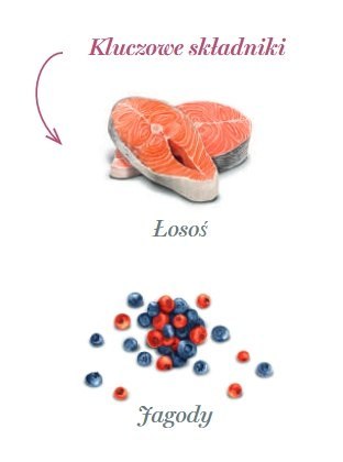 Amanova Amanova Dog Salmon Bites - łosoś 100g