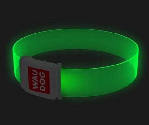 Collar Collar WauDog LED Obroża z podświetleniem LED, klamra magnetyczna, 25mm/45cm