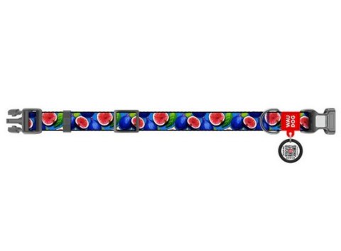 Collar Collar WauDog Nylon Obroża nylonowa z QR-paszportem, plastikowy fastex, wzór FIGA, M 20mm/28-40cm