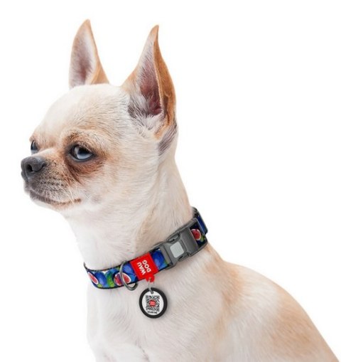 Collar Collar WauDog Nylon Obroża nylonowa z QR-paszportem, plastikowy fastex, wzór FIGA, M 20mm/28-40cm