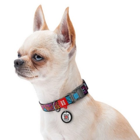 Collar Collar WauDog Nylon Obroża nylonowa z QR-paszportem, plastikowy fastex, wzór LATO, 25mm/37-58cm