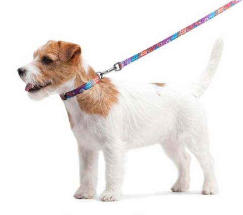 Collar Collar WauDog Nylon Obroża nylonowa z QR-paszportem, plastikowy fastex, wzór LATO, 25mm/37-58cm