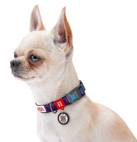 Collar Collar WauDog Nylon Obroża nylonowa z QR-paszportem, plastikowy fastex, wzór NASA21, 20mm/28-40cm