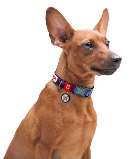 Collar Collar WauDog Nylon Obroża nylonowa z QR-paszportem, plastikowy fastex, wzór NASA21, 20mm/28-40cm