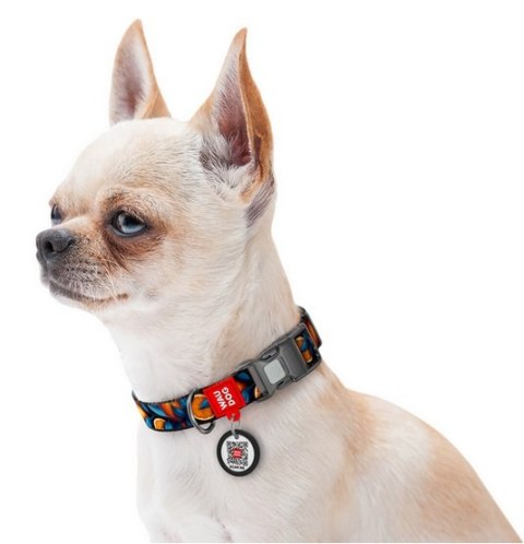 Collar Collar WauDog Nylon Obroża nylonowa z QR-paszportem, plastikowy fastex, wzór POMARAŃCZE, 20mm/28-40cm