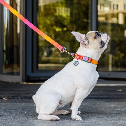 Collar Collar WauDog Recycled Obroża nylonowa z QR-paszportem, gradient L 25mm/33-49cm pomarańczowy