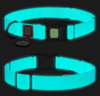 Collar Collar WauDog Waterproof Obroża wodoodporna z QR-paszportem, akumulująca światło, plastikowy fastex, 15mm/25-35cm