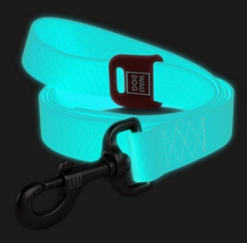 Collar Collar WauDog Waterproof Smycz wodoodporna akumulująca światło M 20mm/183cm