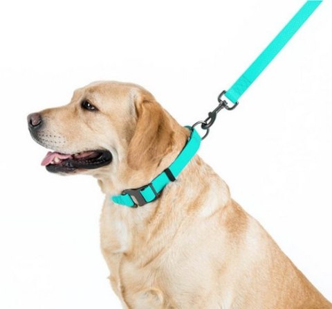Collar Collar WauDog Waterproof Smycz wodoodporna akumulująca światło M 20mm/183cm
