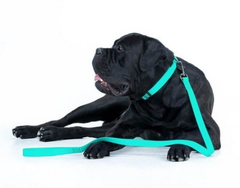 Collar Collar WauDog Waterproof Smycz wodoodporna akumulująca światło M 20mm/183cm