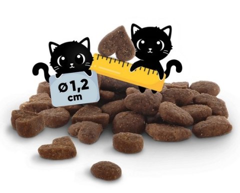 Lucky Lou Lucky Lou Food Code Mono Królik 340g