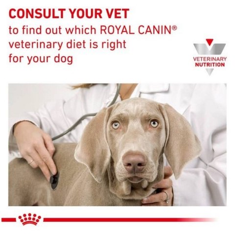 Royal Canin Veterinary Diet Royal Canin Veterinary Diet Canine Gastrointestinal Low Fat Small 1,5kg