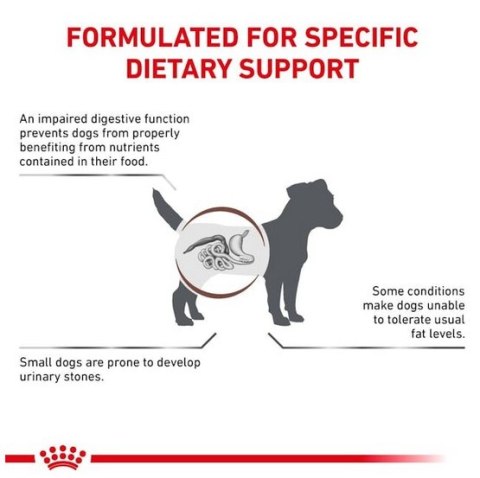 Royal Canin Veterinary Diet Royal Canin Veterinary Diet Canine Gastrointestinal Low Fat Small 3,5kg