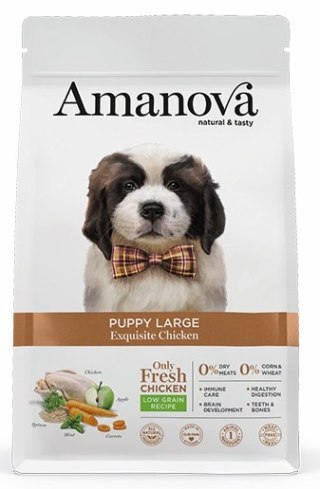Amanova Amanova Dog Puppy Large Exquisite Chicken - kurczak 12kg