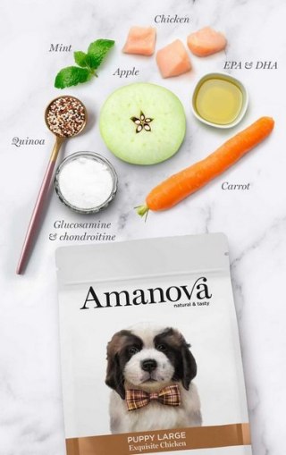 Amanova Amanova Dog Puppy Large Exquisite Chicken - kurczak 12kg
