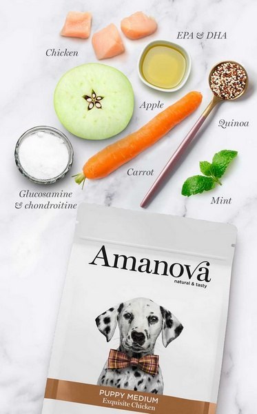 Amanova Amanova Dog Puppy Medium Exquisite Chicken - kurczak 2kg