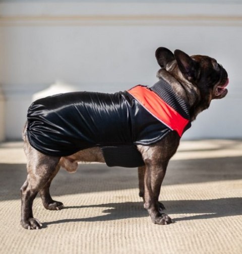Chaba Chaba Ubranko regulowane Wear Magnifique 2XL czerwone