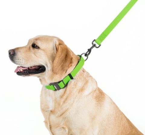 Collar Collar Waterproof Smycz wodoodporna L-XXL 25mm/183cm jasnozielona