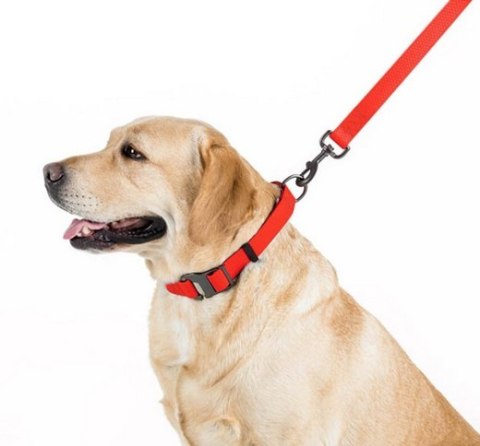 Collar Collar Waterproof Smycz wodoodporna M 20mm/183cm czerwona
