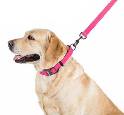 Collar Collar Waterproof Smycz wodoodporna S 15mm/183cm różowa