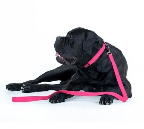 Collar Collar Waterproof Smycz wodoodporna S 15mm/183cm różowa