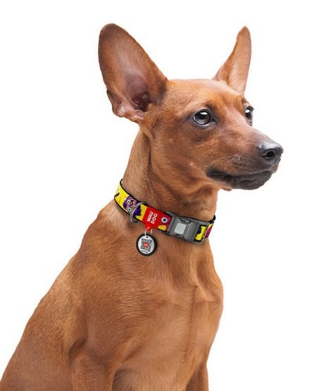 Collar Collar WauDog Nylon Obroża nylonowa z QR-paszportem, plastikowy fastex, wzór FUTRZANE POTWORY, XXL 35mm/46-70cm