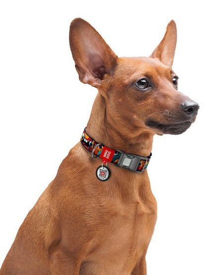 Collar Collar WauDog Nylon Obroża nylonowa z QR-paszportem, plastikowy fastex, wzór ZĘBATE POTWORY, M 20mm/28-40cm