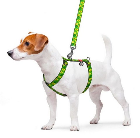 Collar Collar WauDog Nylon Szelki nylonowe anatomiczne w kształcie litery H, z QR-paszportem, plastikowy fastex, wzór AWOKADO, rozmiar 