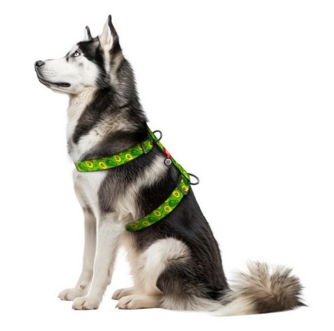 Collar Collar WauDog Nylon Szelki nylonowe anatomiczne w kształcie litery H, z QR-paszportem, plastikowy fastex, wzór AWOKADO, rozmiar 