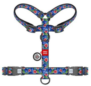 Collar Collar WauDog Nylon Szelki nylonowe anatomiczne w kształcie litery H, z QR-paszportem, plastikowy fastex, wzór FIGA, rozmiar M 2