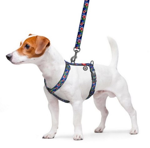 Collar Collar WauDog Nylon Szelki nylonowe anatomiczne w kształcie litery H, z QR-paszportem, plastikowy fastex, wzór FIGA, rozmiar M 2