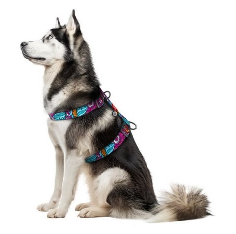 Collar Collar WauDog Nylon Szelki nylonowe anatomiczne w kształcie litery H, z QR-paszportem, plastikowy fastex, wzór LATO, rozmiar XL 