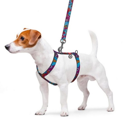 Collar Collar WauDog Nylon Szelki nylonowe anatomiczne w kształcie litery H, z QR-paszportem, plastikowy fastex, wzór LATO, rozmiar M 2
