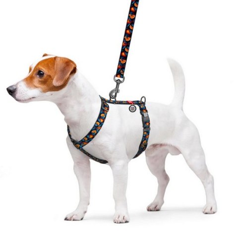 Collar Collar WauDog Nylon Szelki nylonowe anatomiczne w kształcie litery H, z QR-paszportem, plastikowy fastex, wzór POMARAŃCZE, rozmi