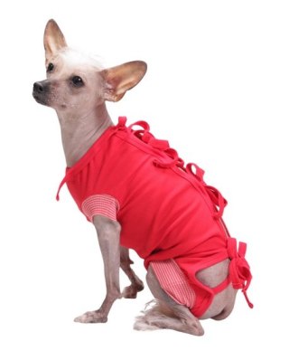 Grande Finale Grande Finale Koszulka pooperacyjna rozmiar 6 / 60cm czerwona [WET1C]
