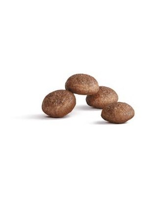 Royal Canin Feline Royal Canin Ageing +11 karma sucha dla kotów dojrzałych 2kg