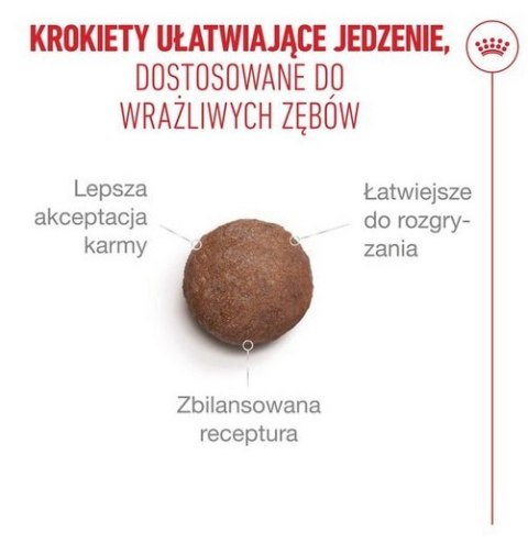 Royal Canin Feline Royal Canin Ageing +15 karma sucha dla kotów dojrzałych 2kg