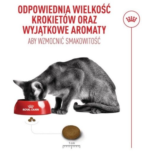 Royal Canin Feline Royal Canin Fussy Exigent karma sucha dla kotów dorosłych, wybrednych 2kg