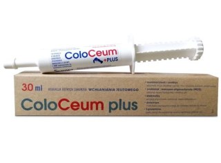 ScanVet ScanVet Coloceum Plus pasta na biegunkę dla psów i kotów tuba 30ml
