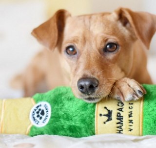 BUBA Pet ZippyPaws Pluszowa trzaskająca butelka Champagne [ZP924]