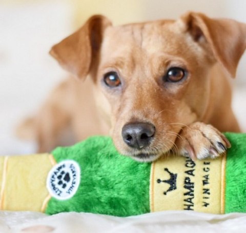 BUBA Pet ZippyPaws Pluszowa trzaskająca butelka Champagne [ZP924]