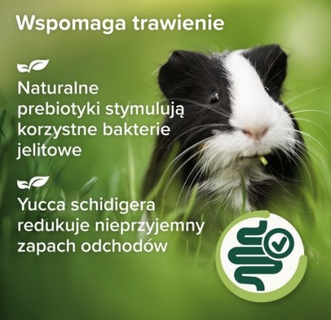 Beaphar Beaphar Care+ Nature Świnka morska 1,5kg