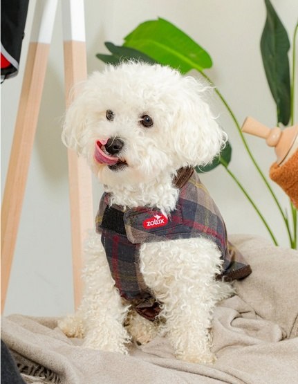 Zolux Zolux Kurtka w kratę dla psa Cheverny R.55 brązowa