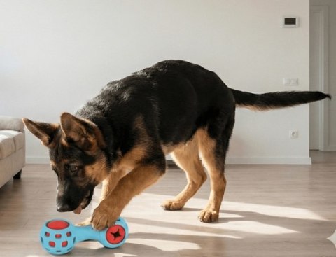 Zolux Zolux Zabawka na przysmaki gryzak hantel 13cm