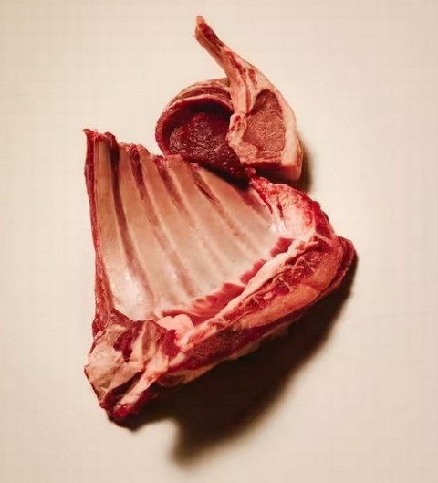 Carnilove Carnilove Cat Active Lamb & Wild Boar Sterilised - jagnięcina i dzik 2kg