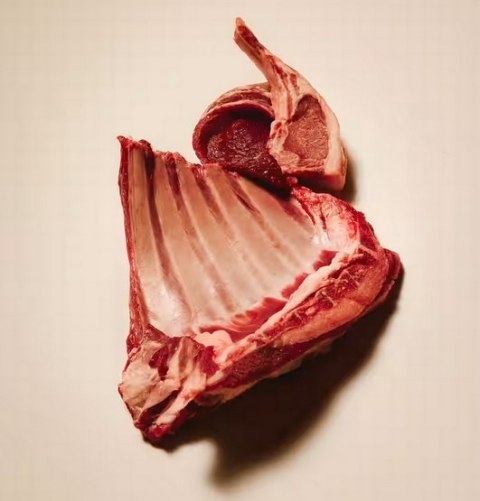 Carnilove Carnilove Dog Active Lamb & Wild Boar Adult - jagnięcina i dzik 1,5kg