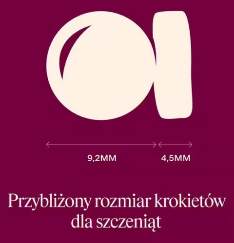 Carnilove Carnilove Dog Active Salmon & Turkey Puppy - łosoś i indyk 1,5kg